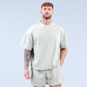 Camiseta DFYNE Recharge Graphic Masculino Cinzentas | ECOSBP650
